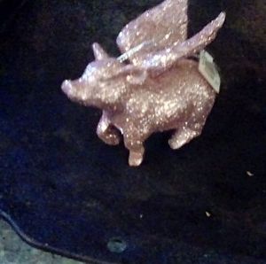 Meet your Posher, Lois